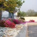 마석서울정형외과의원 이미지