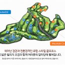 석정힐CC 이미지