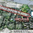 다인개발주