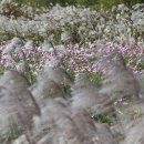 찬우물로 이미지