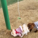 주간요가 이미지