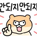 흥천냉삼