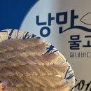 낭만물고기실내바다낚시터 이미지