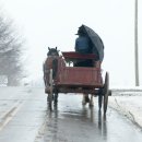 수레바퀴 이미지