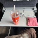 마루콩콩 이미지