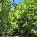 풍납토성 (풍차앞) 이미지