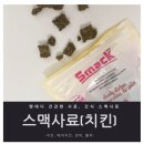 데디펫 네이버블로그