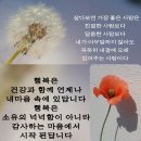 폰세상ㆍ 이미지