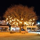 군민회관 이미지