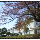 영남축산 이미지