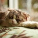 해운대 메디칼 이미지