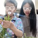신신본가토굴새우젓 네이버블로그