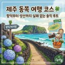 함덕화산송이펜션 | 제주 동쪽 여행 코스 완벽 정리 ☘️ 함덕부터 성산까지 (주차/꿀팁/솔직후기)