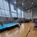 챔피언 태권도 | 동탄복싱체육관, 골든보이 복싱짐 동탄! 챔피언 기운 뿜뿜한 코리안비트 생활체육전국대회 후기!