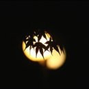 산들바람 이미지