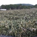 두모악게스트하우스 민박 이미지