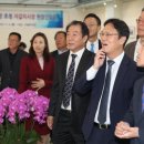 부산자갈밭시장 이미지