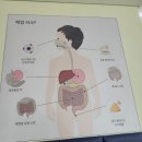 &lt;남양주 아이랑 갈만한 곳ㅡ어린이비전센터 후기&gt;남양주 체험전시실/아이랑 체험즐기기/생활안전 체험...