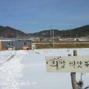 희망농장 이미지