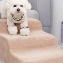 미다스펫 이미지