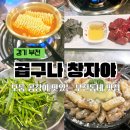 곱구나창자야 이미지