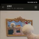 까르르멍멍 이미지