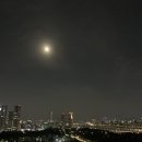 응봉산팔각정 이미지