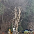 기장도서관 | 부산 신설 일광 도서관 방문 후기/부산 일광 놀거리/기장 가볼만한 곳