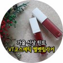 정열코스메틱 | 가을 신상 틴트 VT코스메틱 솔직후기