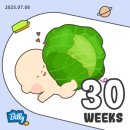 8복안마원 | 30주 31주 임산부 일상 문화센터 테무 임산부수영복 태교여행