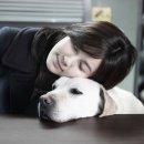 김하늘 | 영화 블라인드 후기｜김하늘 연기력 미쳤다… 안내견 슬기와 유승호까지 완벽