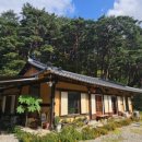 UR(강릉시)-[난곡길76번길]-하-1 | 강릉경포대카페 찾는다면, 자연 속 힐링 한옥카페 서지초가뜰 ☕🌿