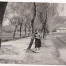 평화동007 이미지