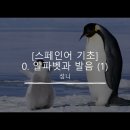[스페인어 기초] 0. 알파벳과 발음 (1) 알파벳, 모음, 자음