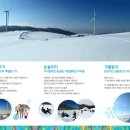 청송목장2 네이버블로그