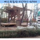 예스현대공인중개사사무소 이미지