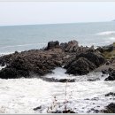 고산농협주유소 이미지