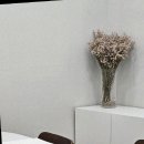 대구미용학원 기초부터 확실하게 해 주는 곳