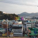 사철나무집민박