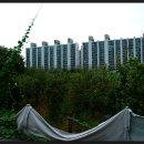 고내상 성지 이미지