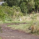 성읍1리마을회관 이미지