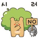 원도 체육관 이미지