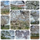 갈산공원(중간) 이미지