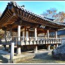 유림-1036 | ☯경남 거창군 누각과정자☯