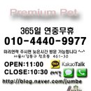 빠삐욘 이미지