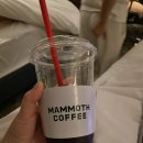 도룡365약국 이미지