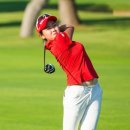 에스텔라 이미지