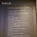 강남-107 | 스파레이 효소찜 효소가와 강남점 후기