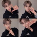 라쿤 하우스 이미지