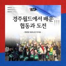 경주아이태권도장 이미지